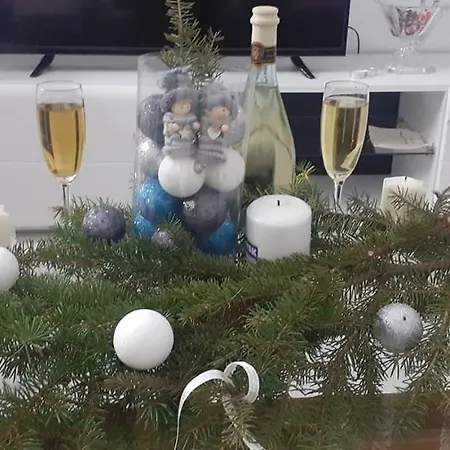 Apartament Djurdjica Banja Koviljača