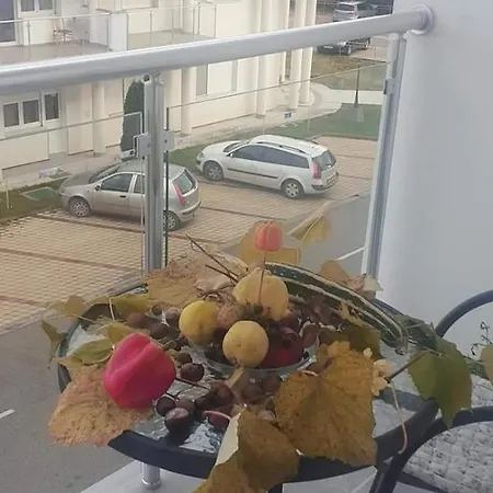 Djurdjica Apartment