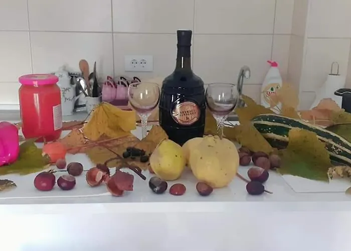 Djurdjica * Banja Koviljača